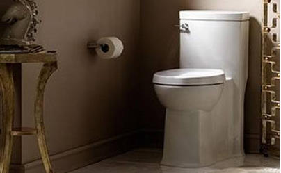 The Bathroom Renovator Barrie Ontario - 705-309-0758.