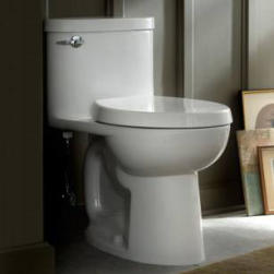 The Bathroom Renovator Barrie Ontario - 705-309-0758.