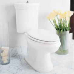 The Bathroom Renovator Barrie Ontario - 705-309-0758.